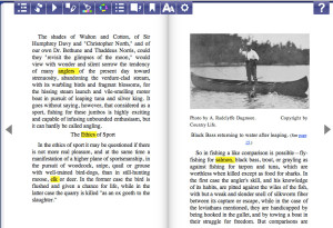 ePub Reader Screenshot